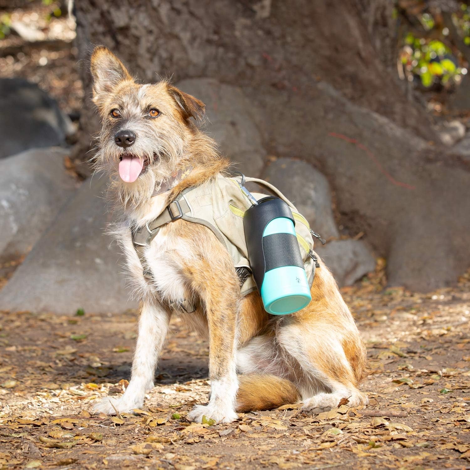 Portable Dog Water Bottle & Dispenser (New-Large 22Oz Dispenser) Insulated 2 Wall Stainless Steel- Optimal Cool Water Temp - Dog Travel Bottle