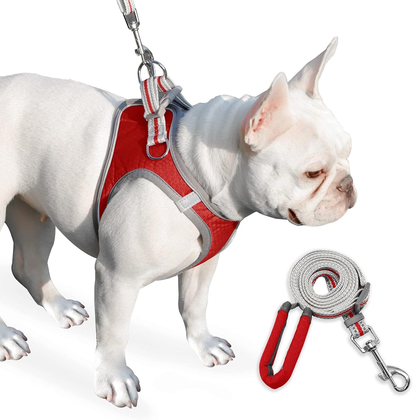 Dog Harness, Dog Harness and Leash Set, Pet Vest Harness, Puppy Cat Vest Harness Escape Proof, Chihuahua Harness, XXS Puppy Harness, Dog Vest Harnesses for Small Dogs Cats (1-RED S)