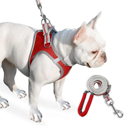 Dog Harness, Dog Harness and Leash Set, Pet Vest Harness, Puppy Cat Vest Harness Escape Proof, Chihuahua Harness, XXS Puppy Harness, Dog Vest Harnesses for Small Dogs Cats (1-RED S)